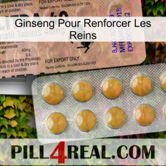Ginseng For Reinforcing Kidney 41
